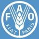 Food and Agriculture Organization Of the United Nations logo